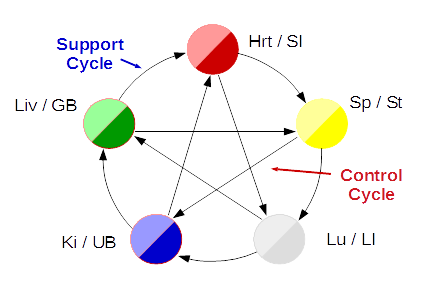 TCM organs five phase relationship